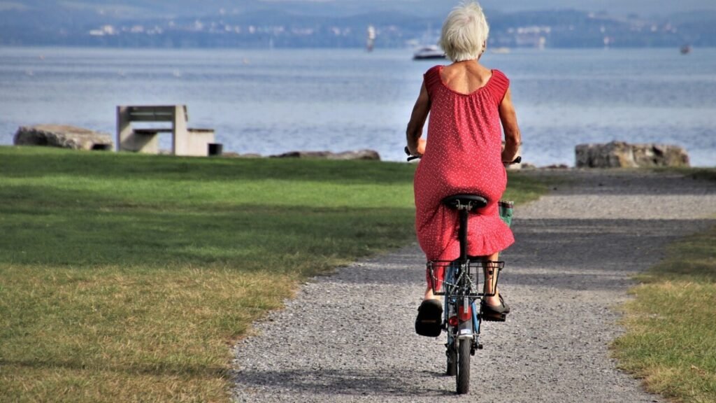 Download gratis burda mønster kjole