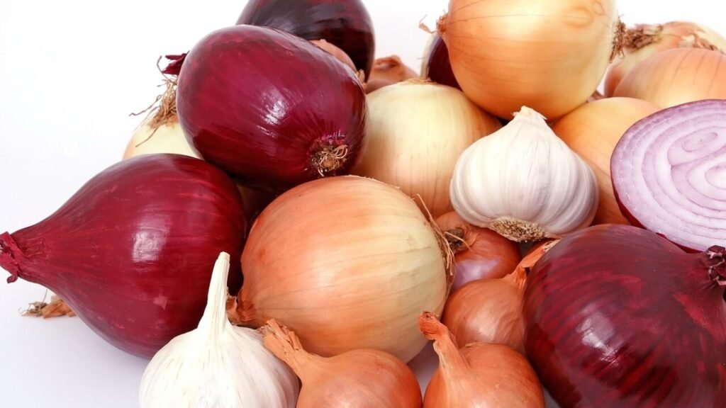 Download gratis onion mønster kjole-symønster